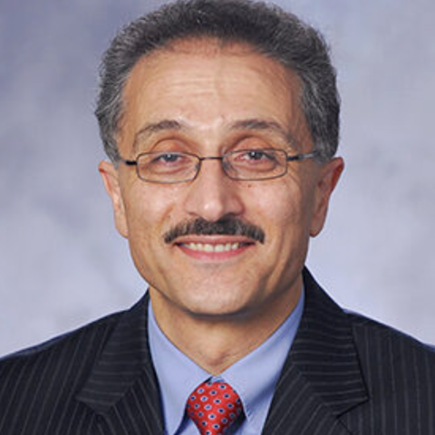 Farzad Rahnema